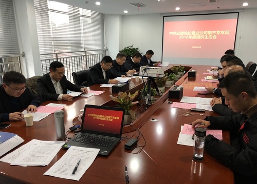 公司第三黨支部召開(kāi)2018年度組織生活會(huì)