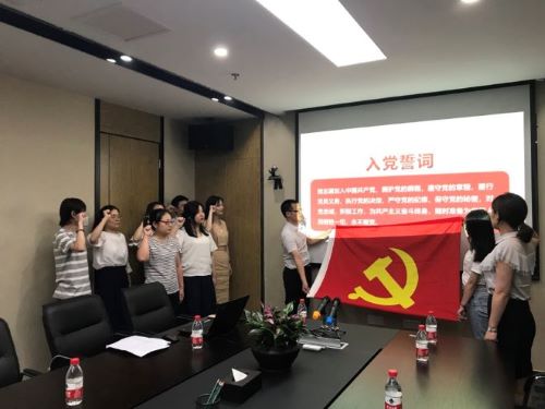 公司第一黨支部、第二黨支部分別召開黨員大會暨“不忘初心，牢記使命”主題教育專題黨員活動日