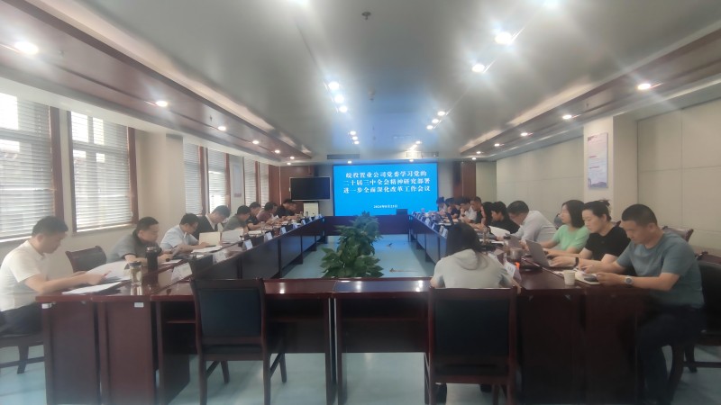 學(xué)習(xí)貫徹黨的二十屆三中全會(huì)精神丨皖投置業(yè)公司召開全面深化改革工作會(huì)議